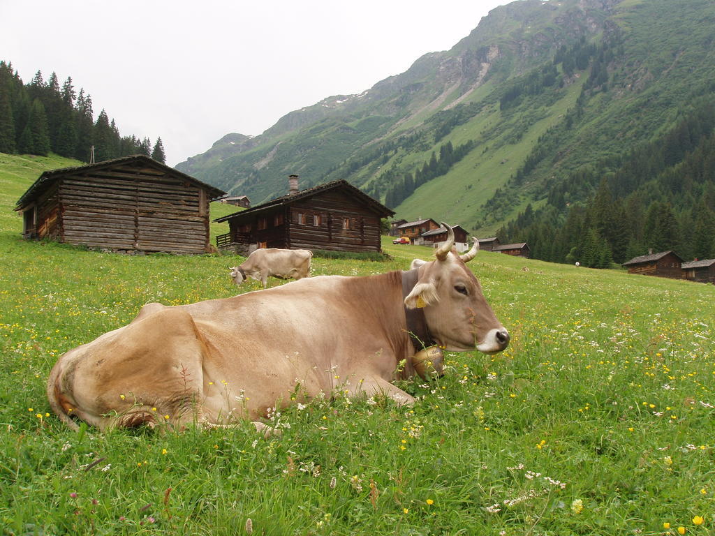 Appart Fernblick Gaschurn Buitenkant foto